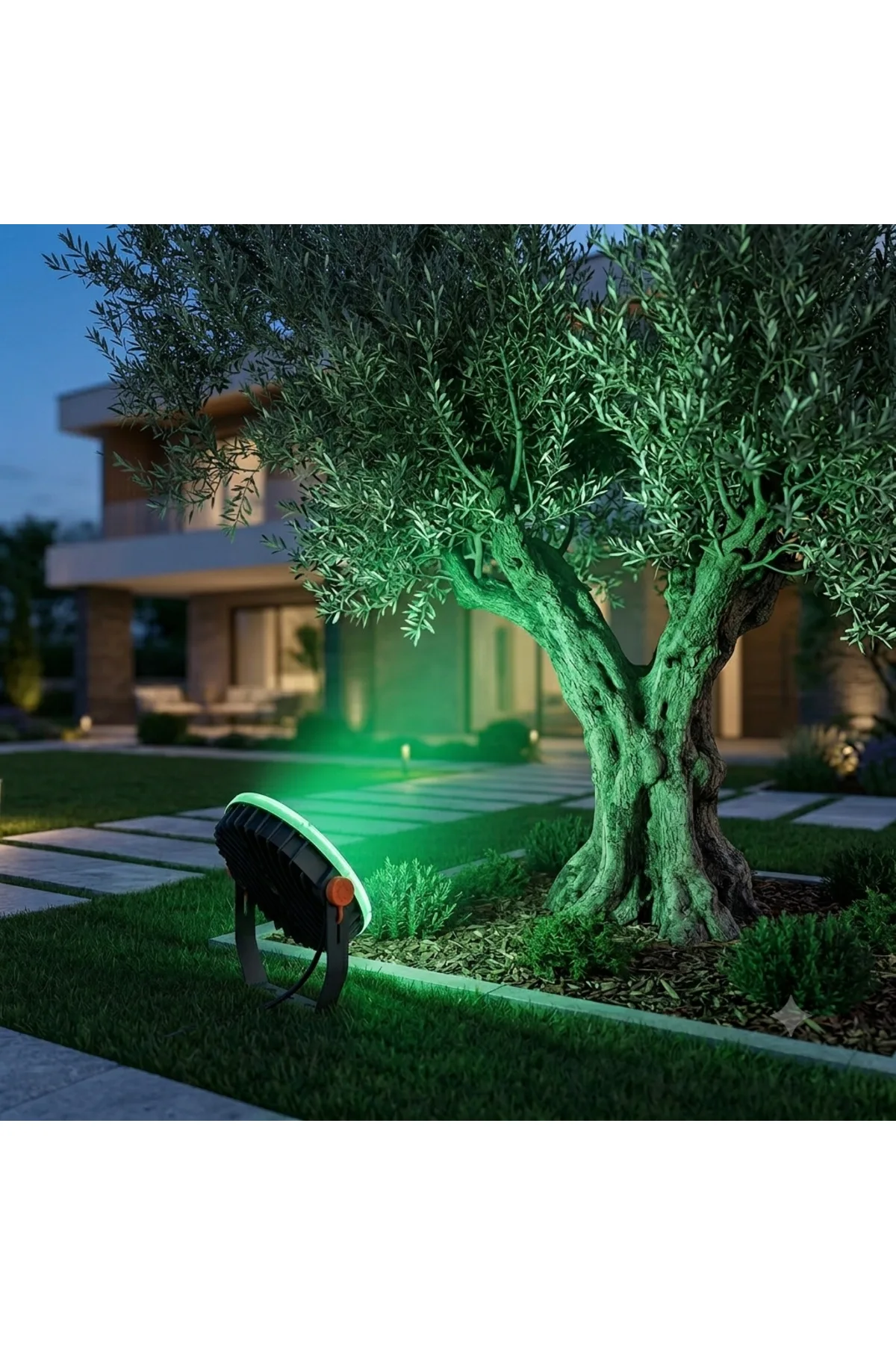 50W RGB LED Projektör